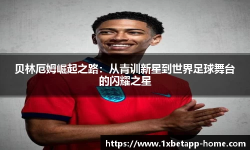 1XBET体育